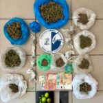 ΥΠΕΝΘΥΜΙΣΗ ΥΠΟΧΡΕΩΣΕΩΝ ΙΔΙΟΚΤΗΤΩΝ ΚΑΤΟΙΚΙΔΙΩΝ ΖΩΩΝ ΚΑΙ ΕΝΤΑΤΙΚΟΠΟΙΗΣΗ ΤΩΝ ΕΛΕΓΧΩΝ ΜΕ ΣΤΟΧΟ ΤΗ ΜΕΙΩΣΗ ΤΩΝ ΑΔΕΣΠΟΤΩΝ