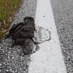 ΤΕΡΑΣΤΙΟ ΜΠΛΑΚΑΟΥΤ: ΧΑΟΣ, ΑΝΗΣΥΧΙΑ ΚΑΙ ΦΟΒΟΣ ΠΟΥ ΣΥΝΕΒΗ ΣΕ ΙΣΠΑΝΙΑ ΠΟΡΤΟΓΑΛΙΑ ΓΑΛΛΙΑ  – ΤΙ ΑΚΡΙΒΩΣ ΣΥΝΕΒΗ ΤΗΝ ΩΡΑ ΤΟΥ ΜΠΛΑΚΑΟΥΤ