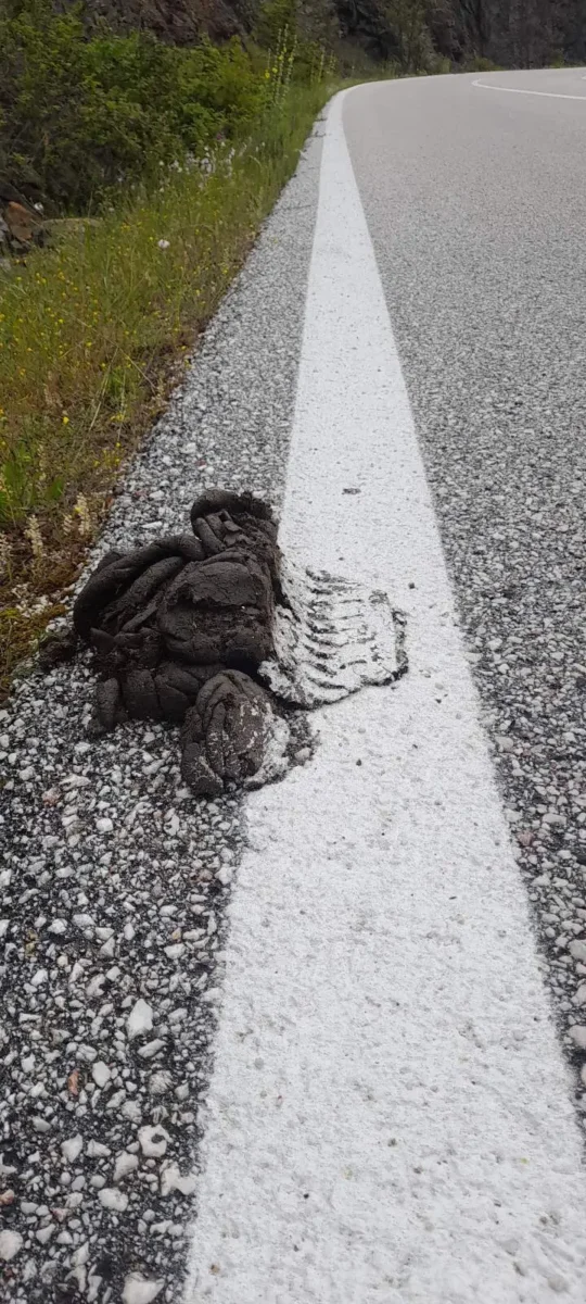 ΑΥΤΑ ΣΥΜΒΑΙΝΟΥΝ ΜΟΝΟ ΣΤΗΝ ΕΛΛΑΔΑ: ΈΚΑΝΑΝ ΔΙΑΓΡΑΜΜΙΣΗ ΣΕ ΔΡΟΜΟ ΤΗΣ ΚΑΡΔ …