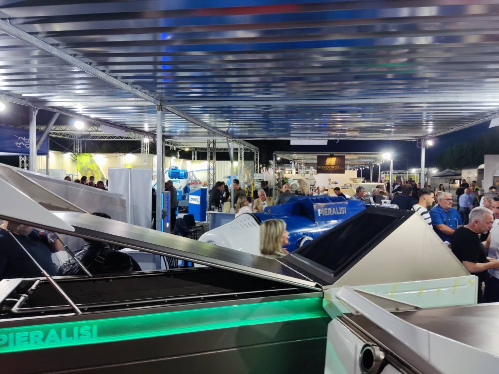 501001503 1232806308853213 8935601714236749140 n