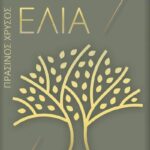 Ο ΑΓΙΟΣ ΑΘΑΝΑΣΙΟΣ ΕΠΙΣΚΟΠΟΣ ΧΡΙΣΤΙΑΝΟΥΠΟΛΕΩΣ Ο ΘΑΥΜΑΤΟΥΡΓΟΣ