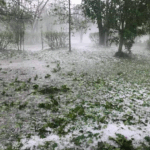 ΗΜΕΡΙΔΑ ΜΕ ΘΕΜΑ «Η ΠΡΟΛΗΨΗ ΣΩΖΕΙ…» ΣΤΟ ΜΕΓΑΡΟ ΧΟΡΟΥ ΚΑΛΑΜΑΤΑΣ