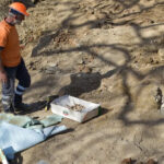 ΜΟΥΣΕΙΟ ΚΟΣΜΗΜΑΤΟΣ ΗΛΙΑ ΛΑΛΑΟΥΝΗ: «ΠΥΛΕΣ ΜΕΤΑΒΑΣΗΣ»