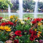 ΝΕΚΡΟΣ 67ΧΡΟΝΟΣ ΑΠΟ ΑΝΑΤΡΟΠΗ ΤΡΑΚΤΕΡ