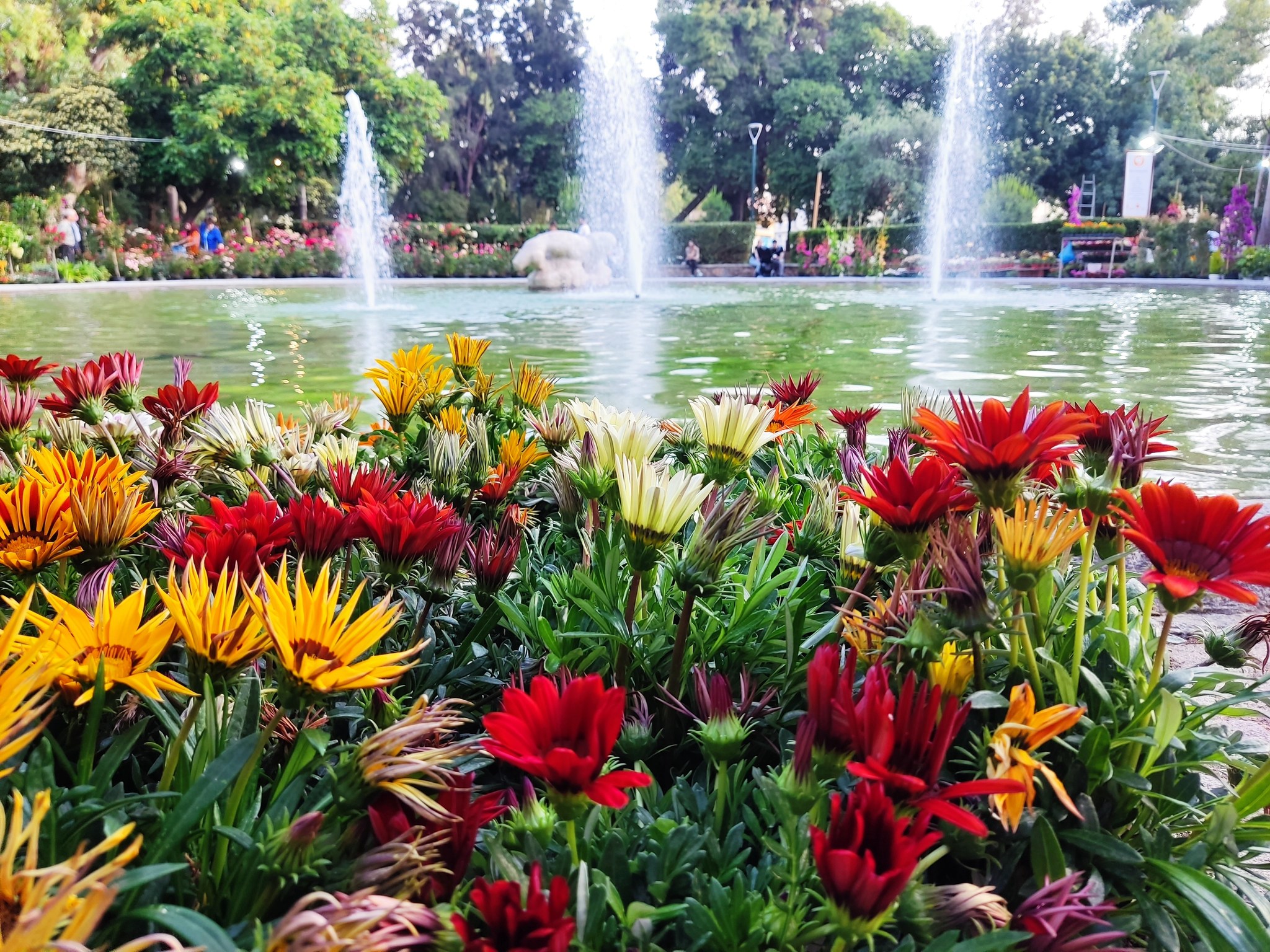 ΜΕ ΛΟΥΛΟΥΔΕΝΙΑ ΠΑΡΕΛΑΣΗ ΟΛΟΚΛΗΡΩΝΕΤΑΙ ΤΗΝ ΚΥΡΙΑΚΗ 18 ΜΑΪΟΥ 2025 Η 12η ΑΝΘΟΚΟΜΙΚΗ ΤΟΥ ΔΗΜΟΥ ΚΑΛΑΜΑΤΑΣ