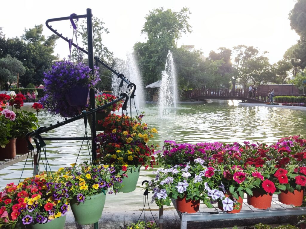 ανθοκομικη εγκαινια 25 3