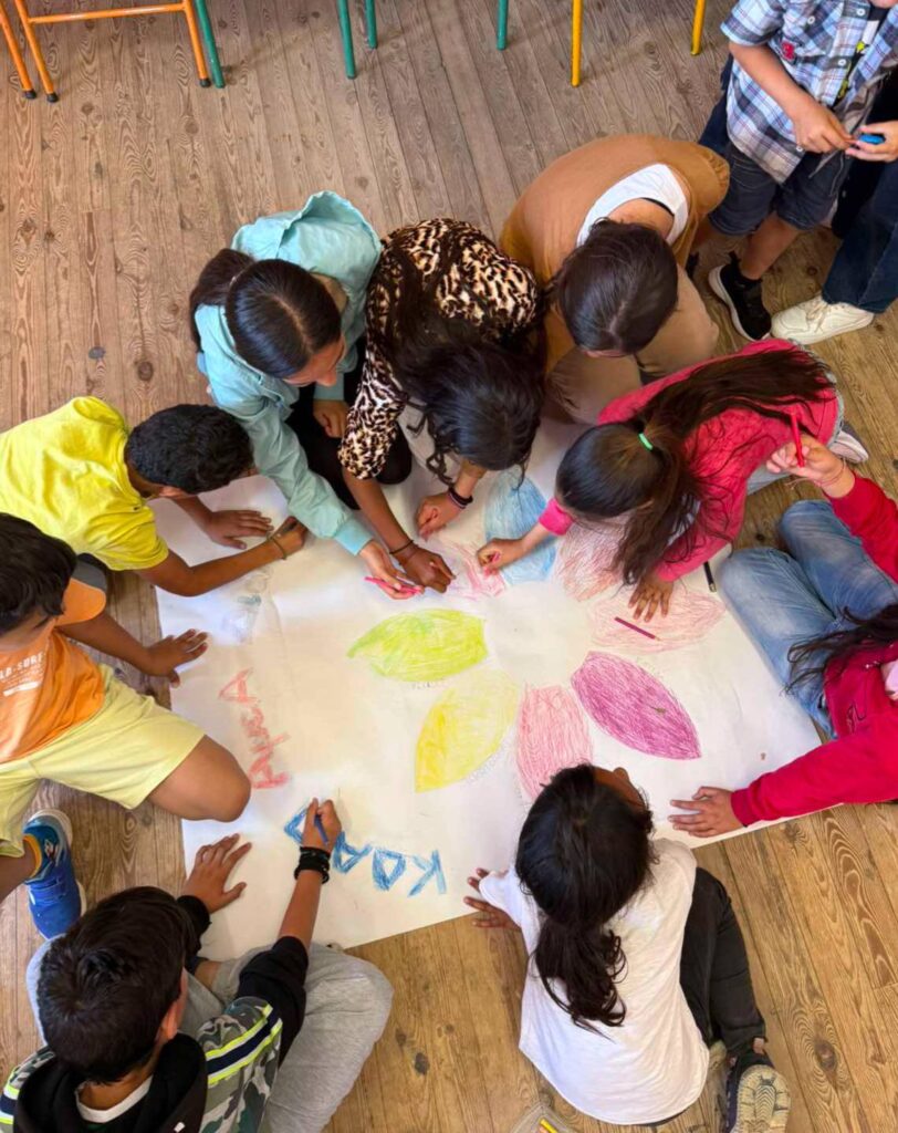 499782994 719005820640005 6095132982001050486 n