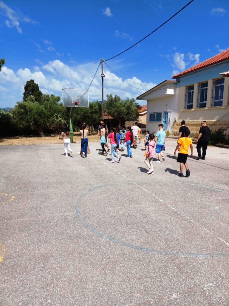 500263269 719006490639938 5210464860811753725 n