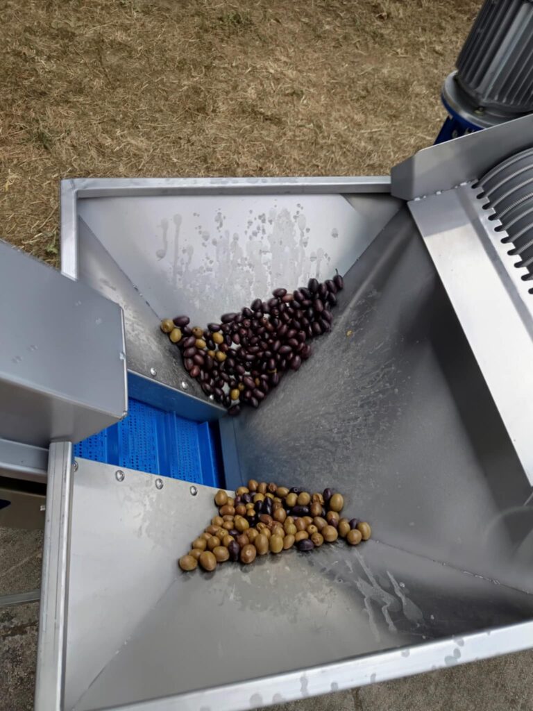 Dc9a712b e74a 4e31 a4f6 c0d06cc057d6