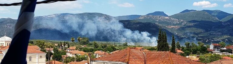 ΜΕΓΑΛΗ ΦΩΤΙΑ ΣΤΟ ΠΛΑΤΥ ΚΑΛΑΜΑΤΑΣ ΜΕΣΣΗΝΙΑΣ