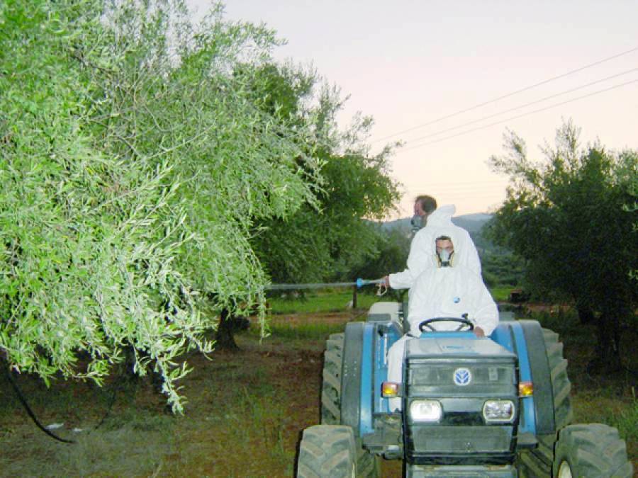 ΞΕΚΙΝΑ ΤΟ ΠΡΟΓΡΑΜΜΑ ΔΑΚΟΚΤΟΝΙΑΣ ΣΤΗ ΜΕΣΣΗΝΙΑ