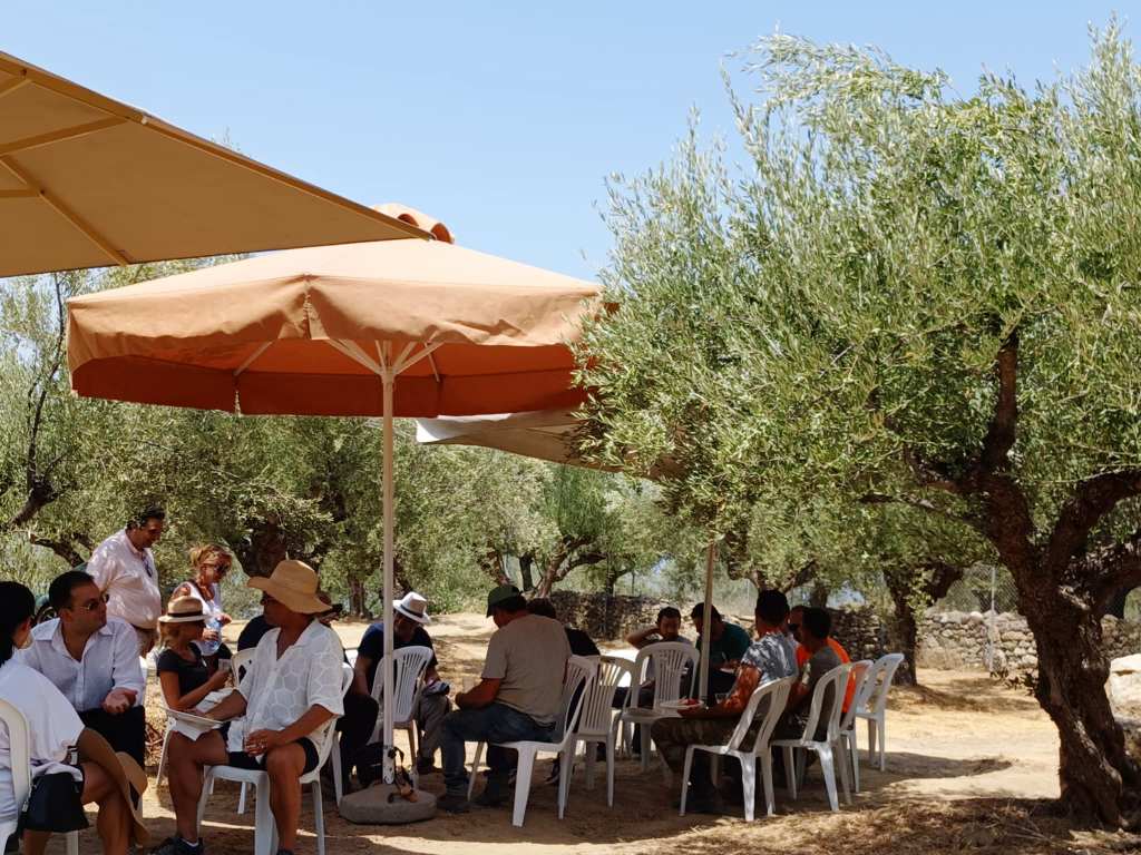 1aa4ba24 40a4 41b0 95c1 b21b47bbfdcb