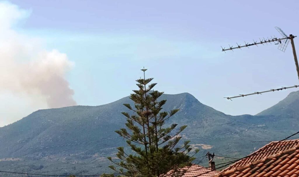 1d07ea80 4b99 4443 847c 580d21d080e6