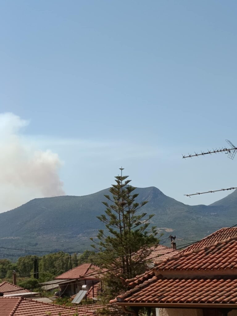 3c3385b3 5996 49a8 b22b 1ef2d02f7d96