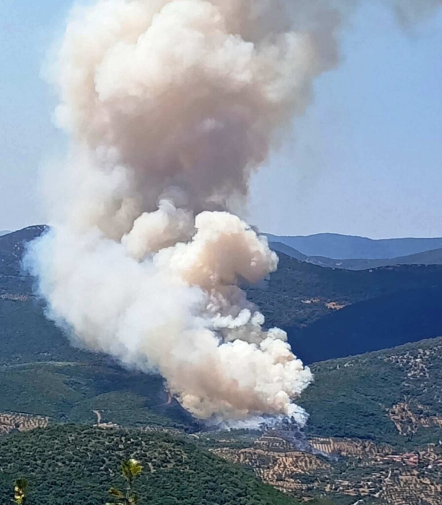 4af3cbee db31 478b 901a 3871e004dac5