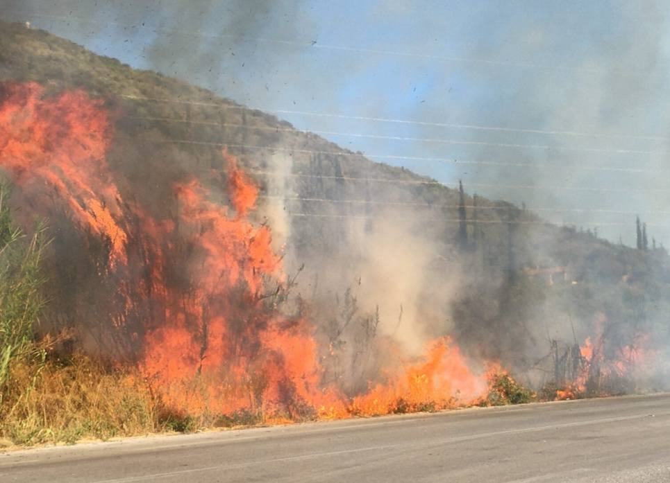 ΔΗΜΑΡΧΟΣ ΜΕΛΙΓΑΛΑ: «Η ΦΩΤΙΑ, ΣΥΜΦΩΝΑ ΜΕ ΤΙΣ ΠΡΩΤΕΣ ΕΝΔΕΙΞΕΙΣ, ΟΦΕΙΛΕΤΑΙ ΣΕ ΕΜΠΡΗΣΜΟ ΚΑΙ ΟΙ ΑΡΜΟΔΙΕΣ ΑΡΧΕΣ ΘΑ ΔΙΕΡΕΥΝΗΣΟΥΝ ΤΑ ΑΙΤΙΑ.»