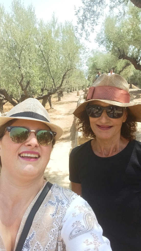 536138801 24342328498787208 1700648575475238073 n