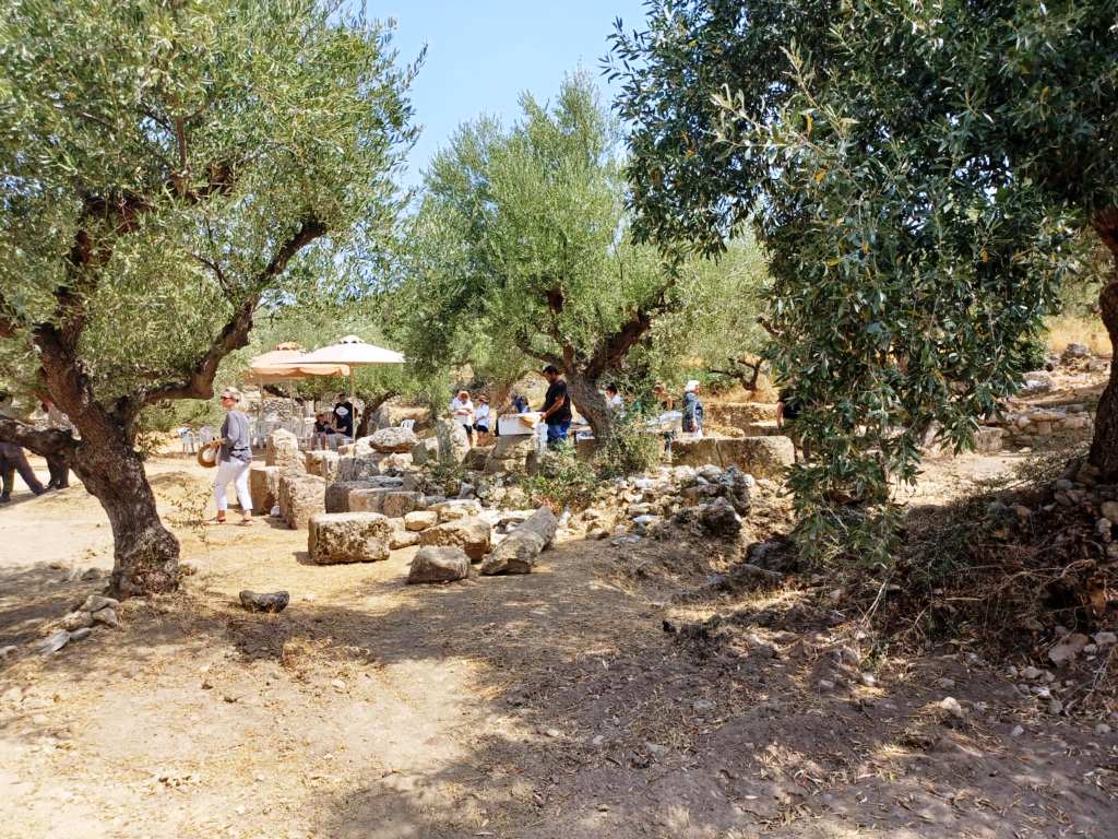 7a308149 7776 429a 8716 173e11a004c4