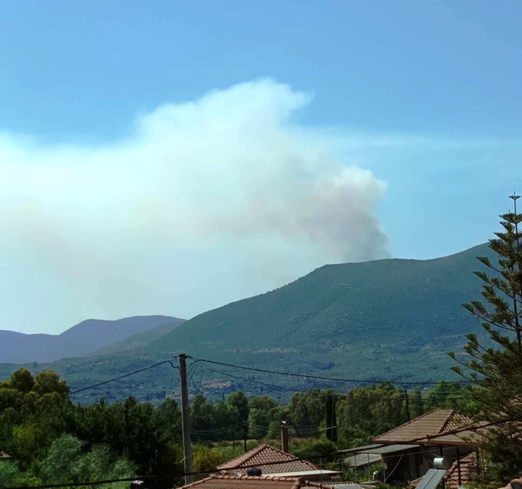 7d9b912a 6e14 4b2f acbd f357a724b103