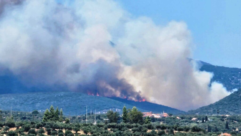 90600e8d e143 4d18 a038 43825ed1b722