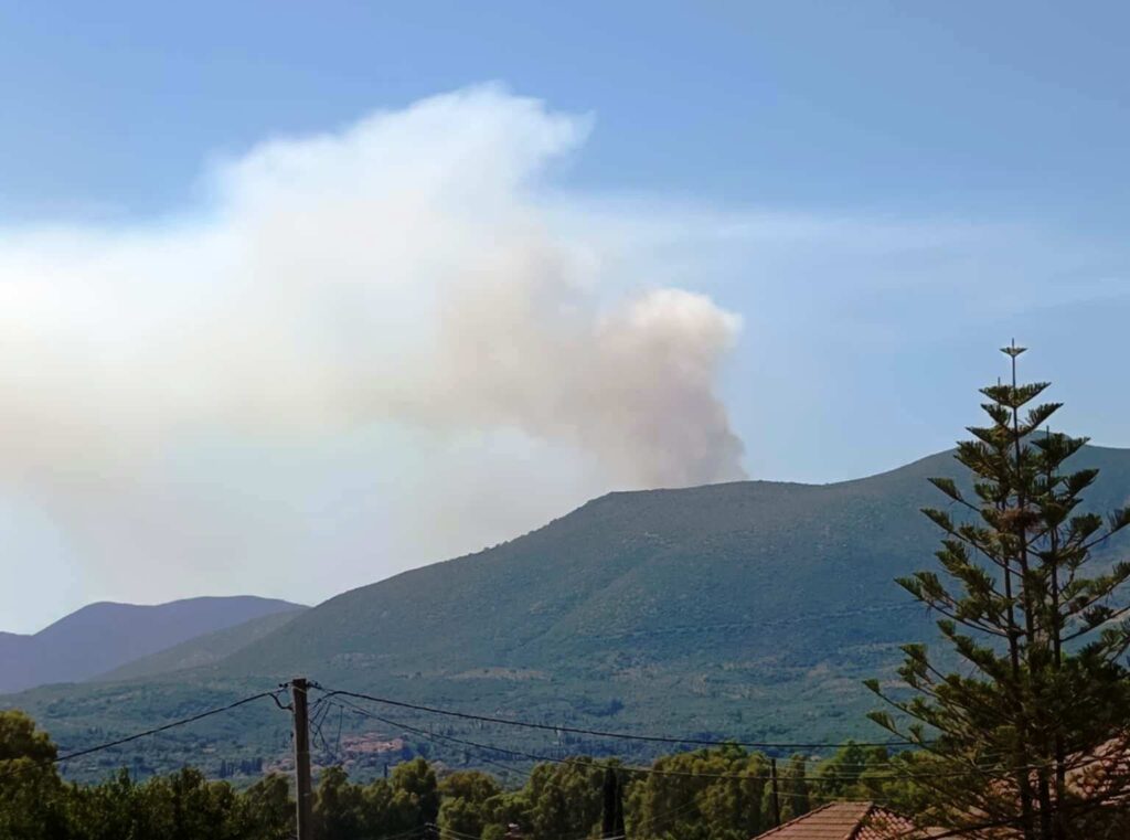 91ecaad9 0872 4219 8b47 620bbc298884