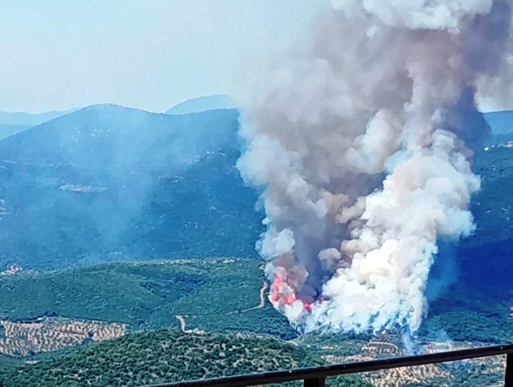 92132ff3 b616 4521 a94d 2c0934df9f36