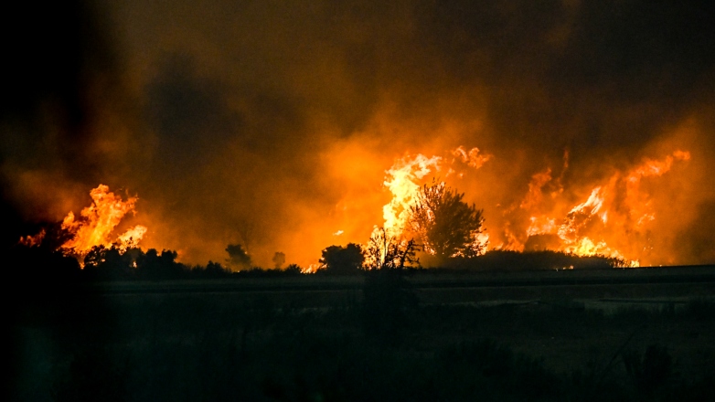 Z3090001232223233212238