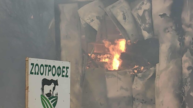 Z309990133034334335323001230230604