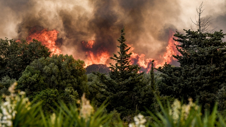 Z30999013303433433532300123023060422