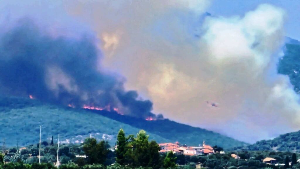 E1ce5909 db6f 41b7 a42b 6d9bc6f296bc