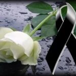 4 ΣΥΛΛΗΨΕΙΣ ΓΙΑ ΑΦΑΙΡΕΣΗ ΔΙΧΤΥΩΝ ΕΛΑΙΟΣΥΛΛΟΓΗΣ ΑΠΟ ΑΓΡΟΤΕΜΑΧΙΟ