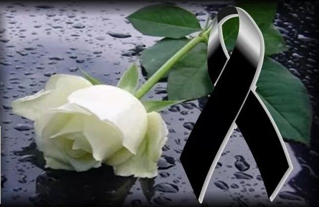 ΚΗΔΕΙΑ ΣΤΟ ΠΛΑΤΥ ΚΑΛΑΜΑΤΑΣ ΜΕΣΣΗΝΙΑΣ