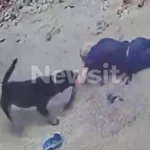 ΟΙΚΟΓΕΝΕΙΑΚΗ ΤΡΑΓΩΔΙΑ ΣΤΟ ΗΡΑΚΛΕΙΟ: ΈΒΑΛΕ ΦΩΤΙΑ, ΕΚΑΨΕ ΜΑΝΑ ΚΑΙ ΑΔΕΛΦΟ ΚΑΙ ΠΗΔΗΞΕ ΑΠΟ ΤΟ ΜΠΑΛΚΟΝΙ