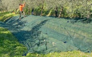 4 ΣΥΛΛΗΨΕΙΣ ΓΙΑ ΑΦΑΙΡΕΣΗ ΔΙΧΤΥΩΝ ΕΛΑΙΟΣΥΛΛΟΓΗΣ ΑΠΟ ΑΓΡΟΤΕΜΑΧΙΟ