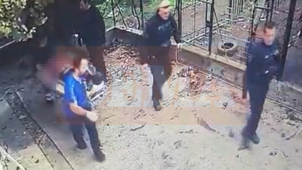 ΦΙΛΟΖΩΙΚΟΣ ΌΜΙΛΟΣ ΚΑΛΑΜΑΤΑΣ: «ΕΚΦΡΑΖΟΥΜΕ ΤΗ ΒΑΘΙΑ ΜΑΣ ΛΥΠΗ ΓΙΑ ΤΟ ΤΡΑΓΙΚΟ ΠΕΡΙΣΤΑΤΙΚΟ ΣΤΟΝ ΆΓΙΟ ΦΛΩΡΟ, ΟΠΟΥ ΕΝΑ ΡΟΤΒΑΙΛΕΡ ΕΧΑΣΕ ΤΗ ΖΩΗ ΤΟΥ ΕΠΕΙΤΑ ΑΠΟ ΤΗΝ ΕΠΙΘΕΣΗ ΠΟΥ ΕΚΑΝΕ ΣΤΟΝ ΑΝΘΡΩΠΟ ΠΟΥ ΦΑΙΝΕΤΑΙ ΝΑ ΤΟ ΚΑΚΟΠΟΙΟΥΣΕ»