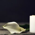 ΧΡΙΣΤΟΥΓΕΝΝΙΑΤΙΚΕΣ ΕΥΧΕΣ ΤΟΥ ΤΜΕΔΕ – ΕΥΧΕΣ ΓΙΑ ΜΙΑ ΧΡΟΝΙΑ ΠΡΟΟΔΟΥ ΚΑΙ ΣΥΝΕΡΓΑΣΙΑΣ