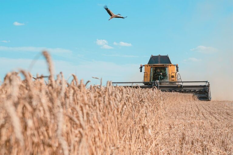 Η ΚΙΝΑ «ΒΑΖΕΙ ΦΩΤΙΑ» ΣΤΙΣ ΤΙΜΕΣ ΤΩΝ ΣΙΤΗΡΩΝ – ΣΕ ΥΨΗ ΡΕΚΟΡ Η ΠΑΓ …