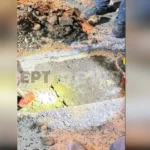 ΘΡΗΝΟΣ ΓΙΑ ΤΟΥΣ 7 ΝΕΚΡΟΥΣ ΟΠΑΔΟΥΣ ΤΟΥ ΠΑΟΚ ΣΤΗ ΡΟΥΜΑΝΙΑ: ΚΑΛΥΨΑΝ ΜΕ ΚΑΣΚΟΛ ΚΑΙ ΜΠΛΟΥΖΕΣ ΤΟ ΣΗΜΕΙΟ ΤΗΣ ΣΥΓΚΡΟΥΣΗΣ