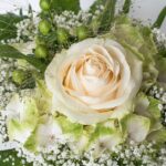 ΠΛΑΚΩΣΕ ΣΤΟ ΞΥΛΟ ΤΟΝ ΚΟΥΡΕΑ ΕΠΕΙΔΗ ΔΕΝ ΤΟΥ ΑΡΕΣΕ ΤΟ ΚΟΥΡΕΜΑ!