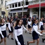 Platynews (358)