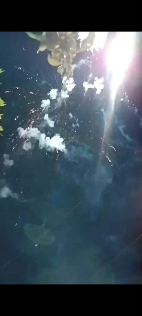 57fcf6b5 9b61 41cc ab53 344415e77809