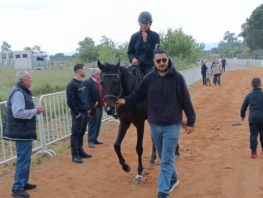  viber 2026 04 23 17 08 22 695