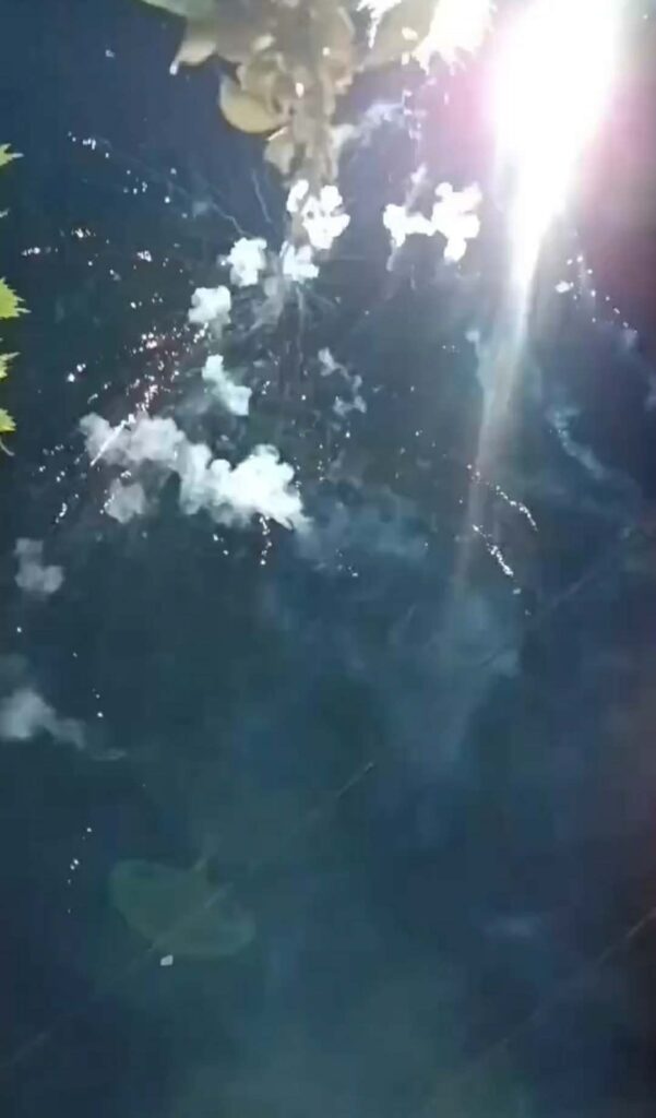 Dec39297 0bdb 4b61 a0e2 27a8fe59734e